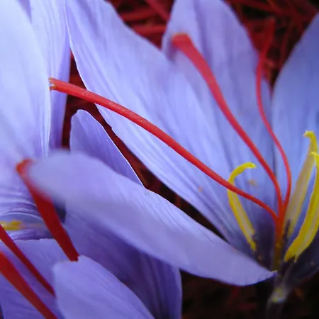 Railway In Apartment